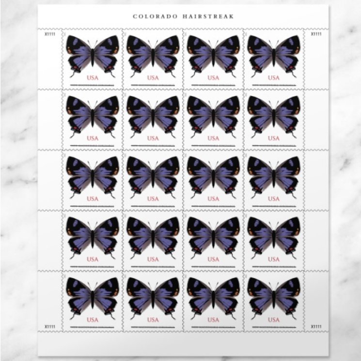 2019 Forever Stamps Colorado Hairstreak Stamps - Image 4