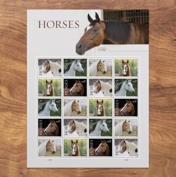 2024 Stamps Horses Forever Stamps - Image 5