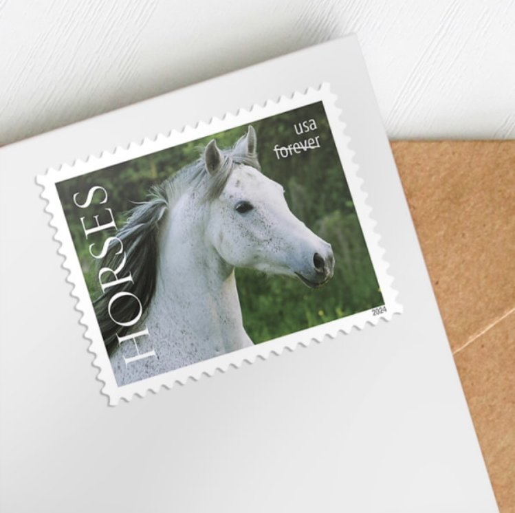 Horses Stamps