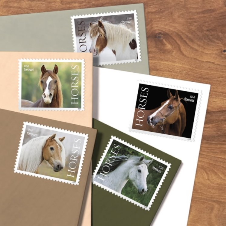 2024 Stamps Horses Forever Stamps - Image 4