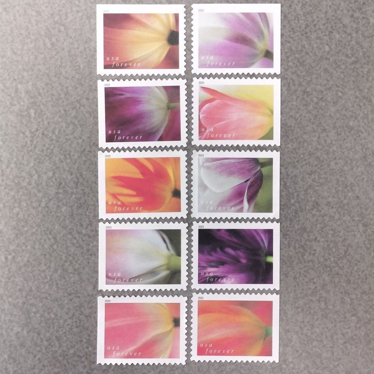 2023 Forever Stamps Tulip Blossoms Stamps - Image 8