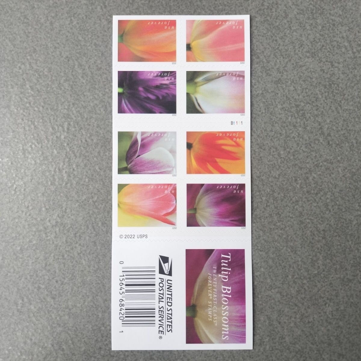 2023 Forever Stamps Tulip Blossoms Stamps - Image 7