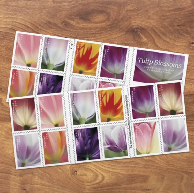 2023 Forever Stamps /Tulip Blossoms Stamps
