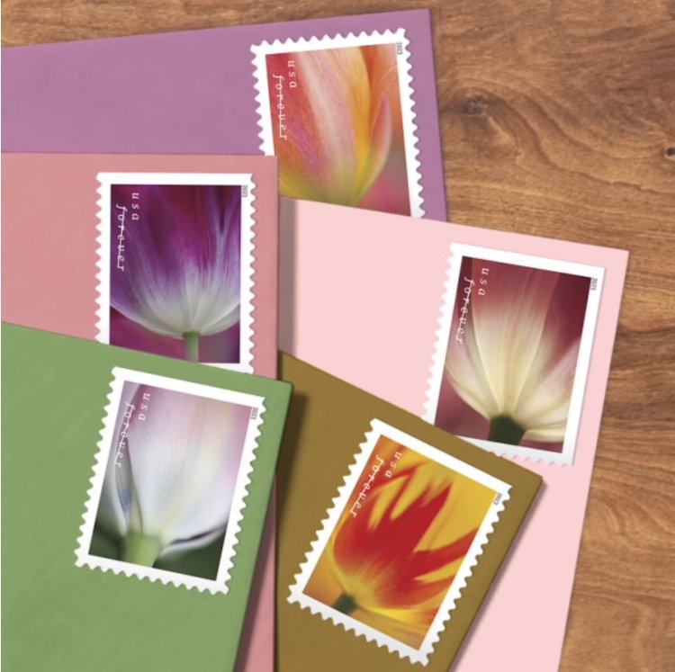 2023 Forever Stamps Tulip Blossoms Stamps