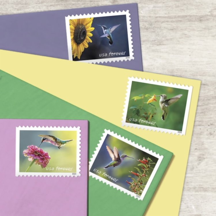 2024 Stamps Garden Delights Forever Stamps