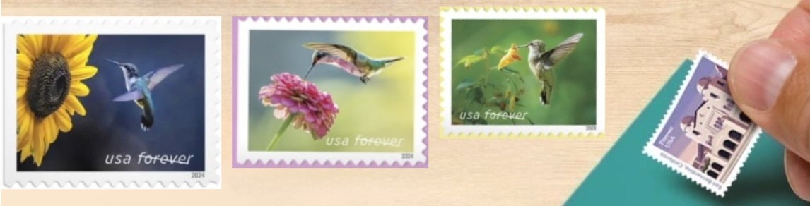 2024 Stamps Garden Delights Forever Stamps - Image 5