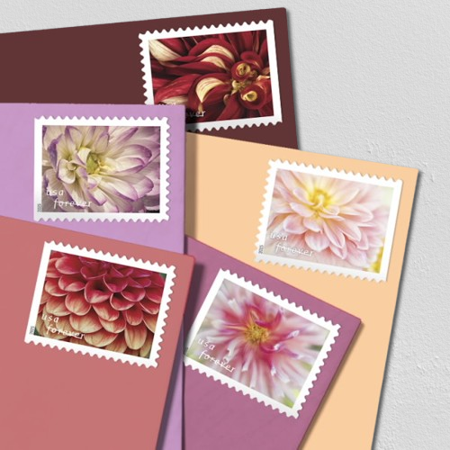 2025 Baby Wild Animals Forever Stamps